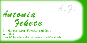 antonia fekete business card